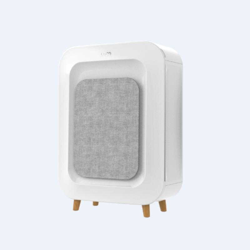 Air cleaner for house