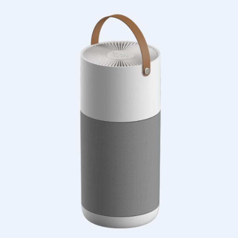 Home air purifier system