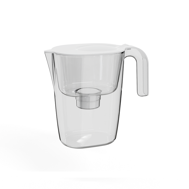 Portable water filter jug