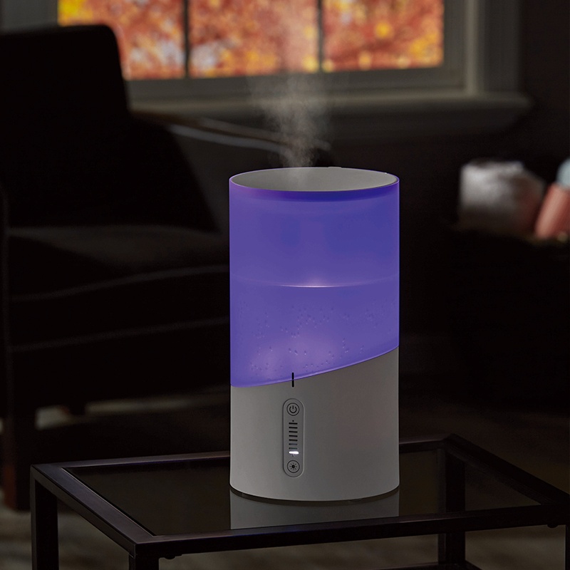 What type of home humidifier system is best for my home?